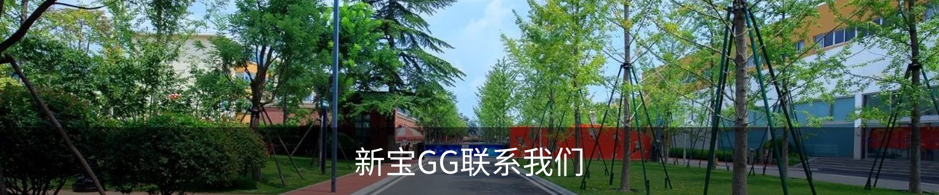内页banner